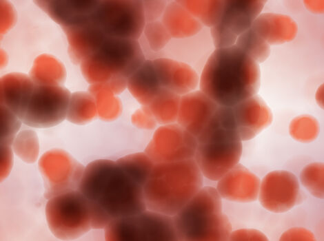 AdobeStock_316633016